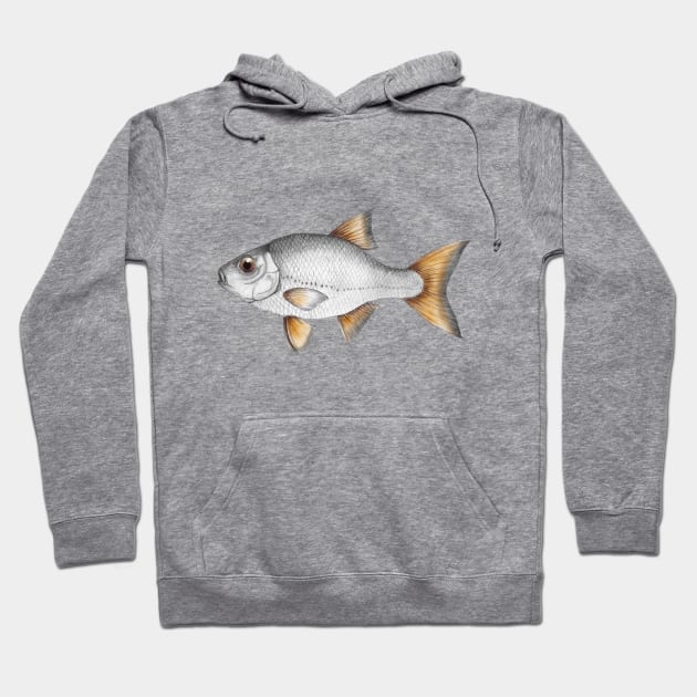 Common roach fish Hoodie by Bwiselizzy